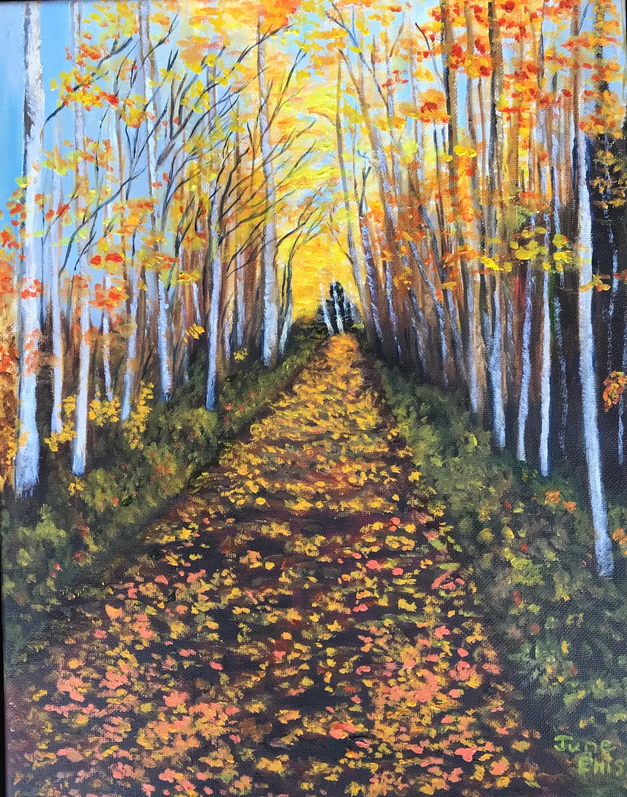 Fall is Such a Beautiful Colourful Time of Year