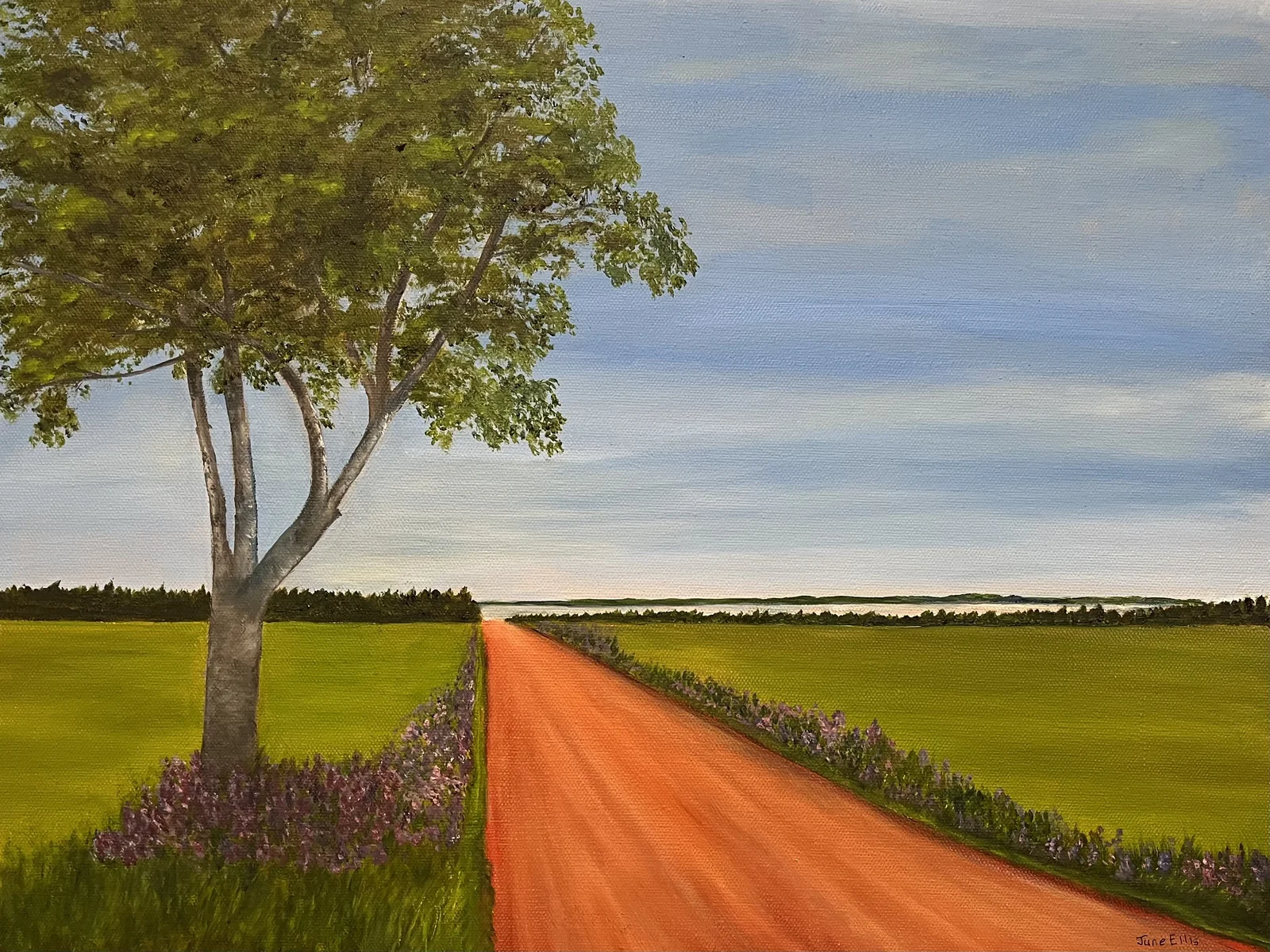 Red Dirt Road Exhibition