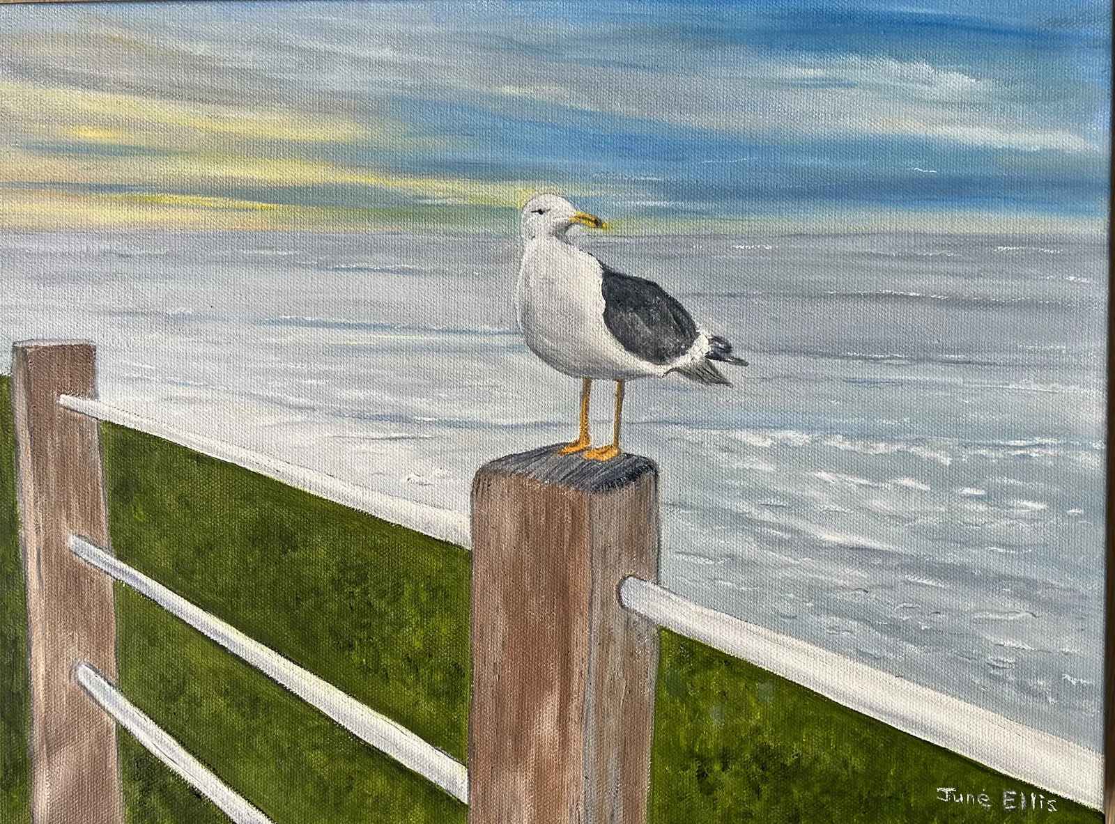 Original oil seascape painting of seagull on a post with the sea in the background by PEI artist June Ellis