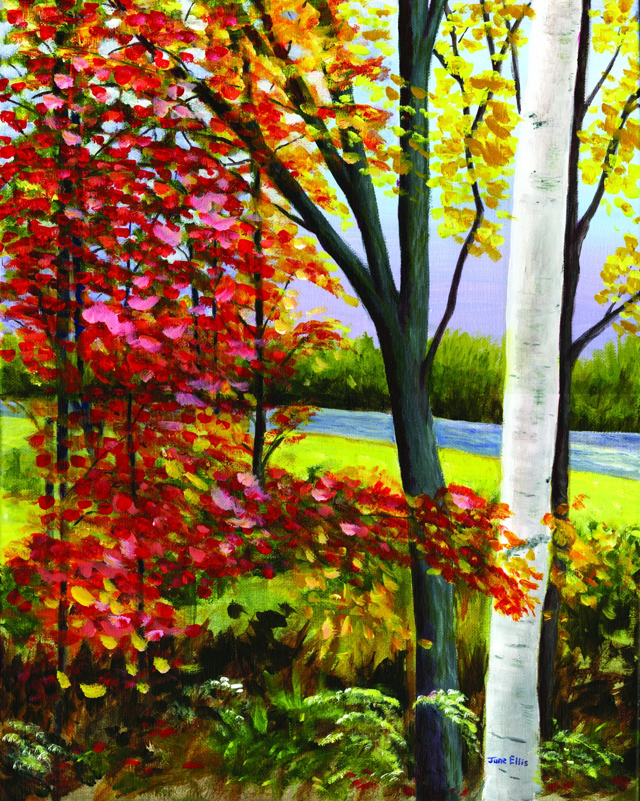 Fall Colors is an original acrylic painting on 16x20 canvas shows the red, yellow and orange fall colors