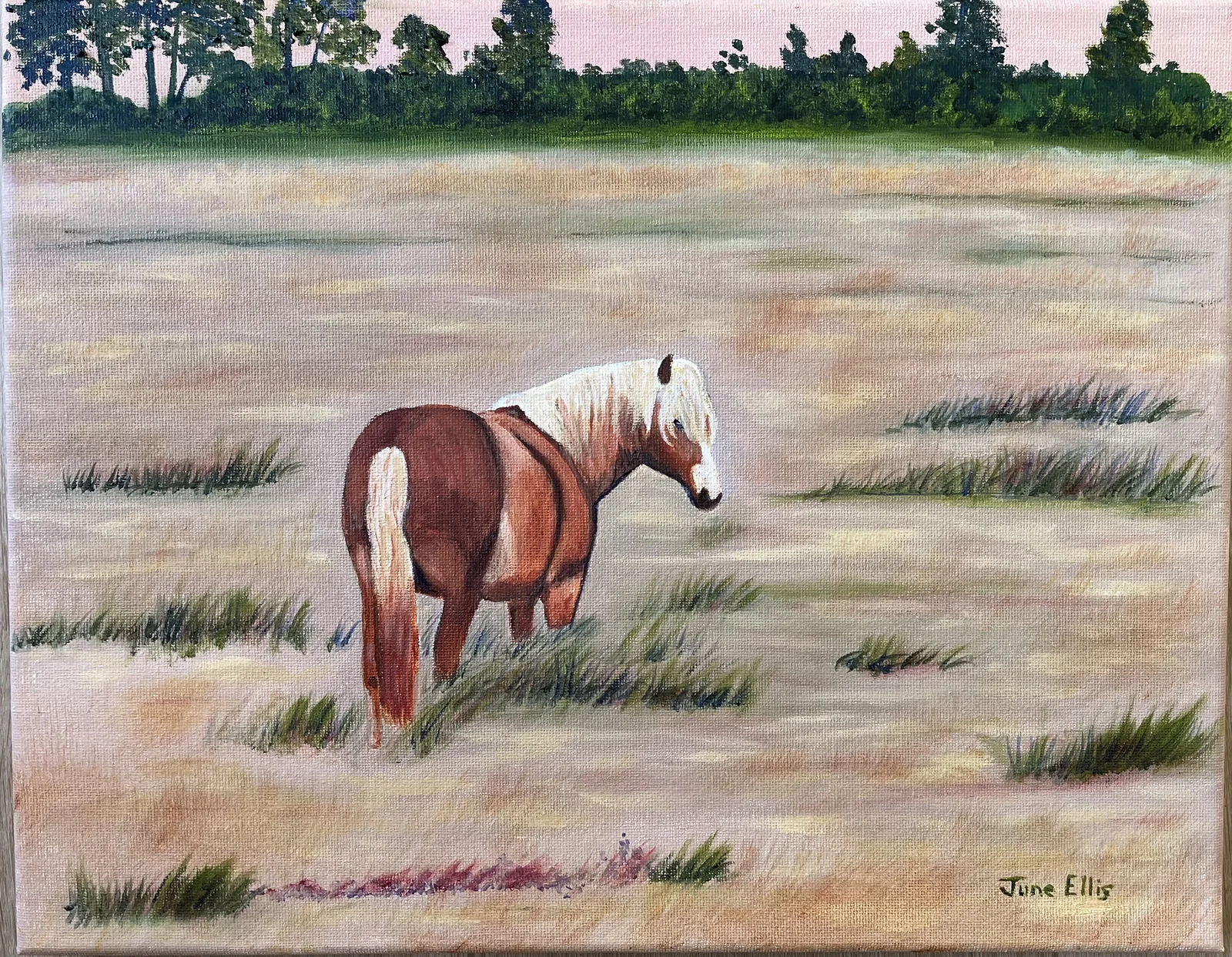 Original oil painting of a horse in a PEI meadow with lush green grass by artist PEI Artist June Ellis