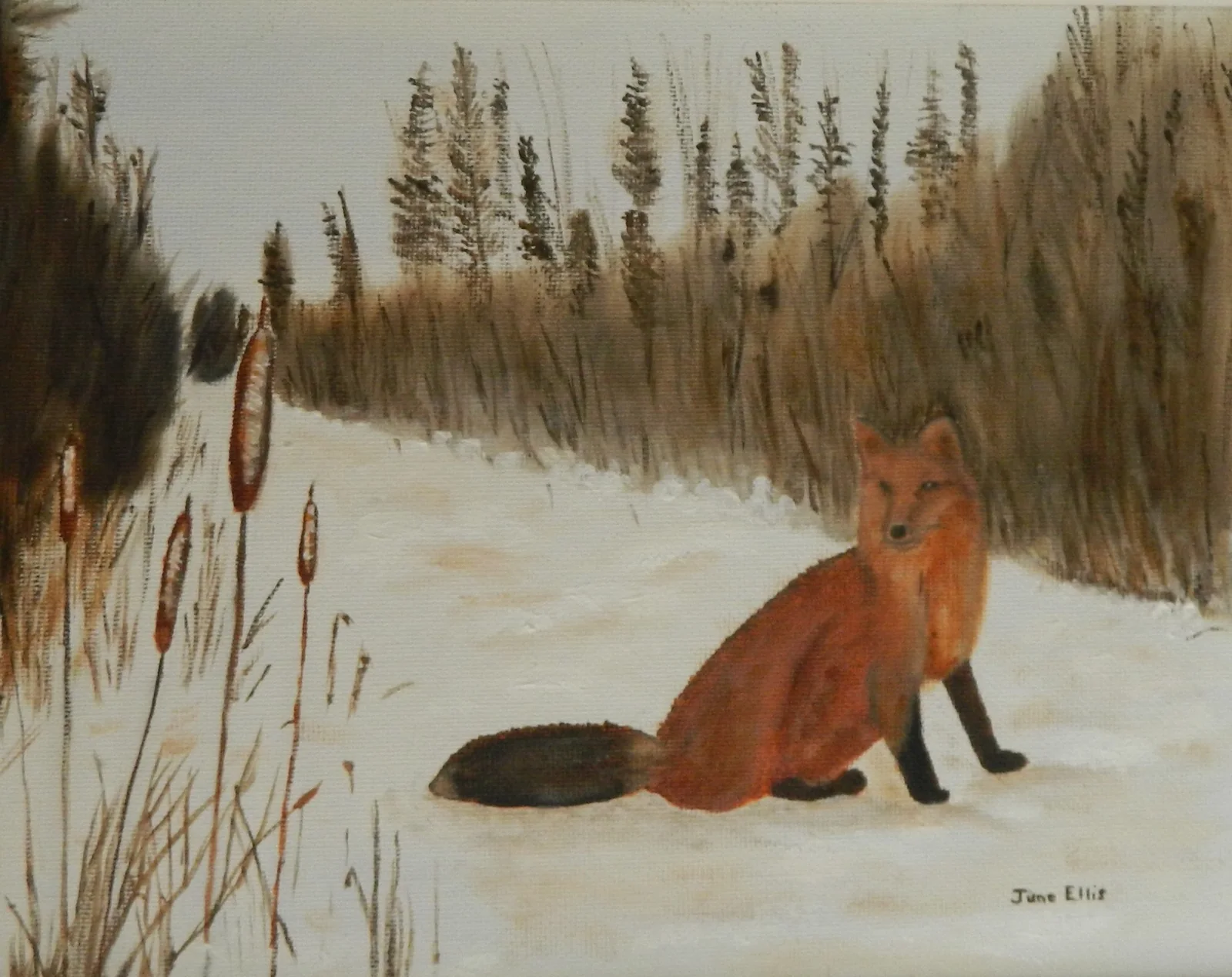 Red Fox on the Trail is a print that shows a red fox on a winter trail by PEI artist June Ellis