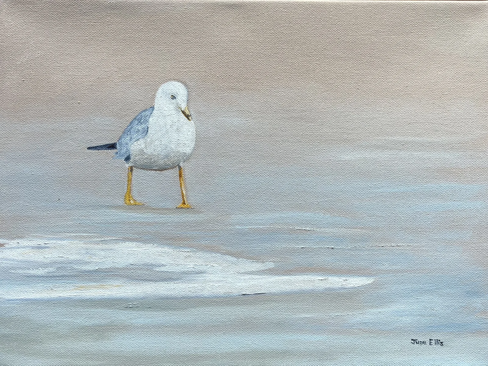 Original oil seascape painting of a seagull walking on the beach by PEI artist June Ellis