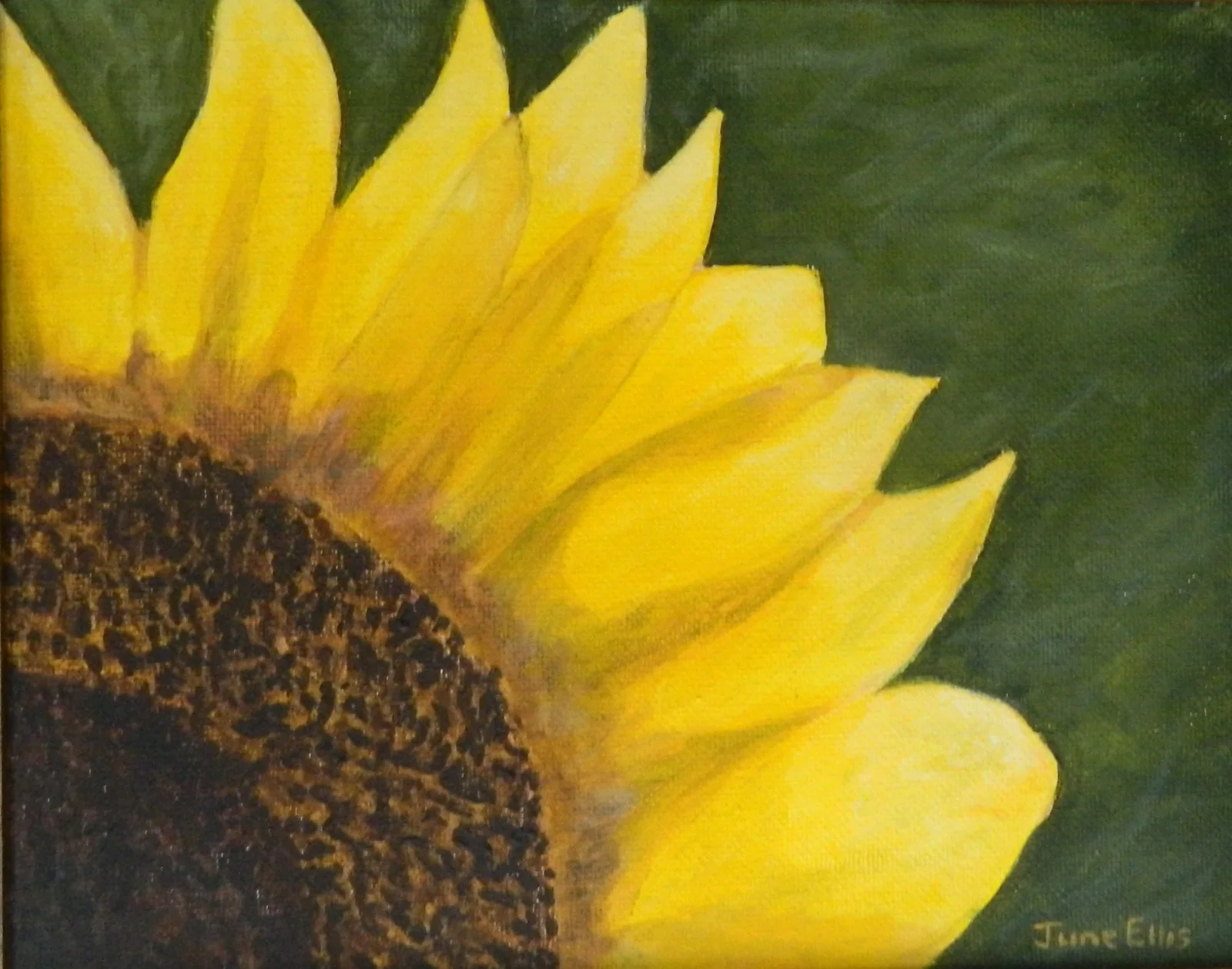 Summers Sun is an original oil painting on 8x10 canvas shows a close up view of a sunflower